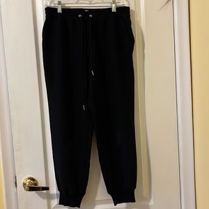 Aritzia Wilfred jogger pants